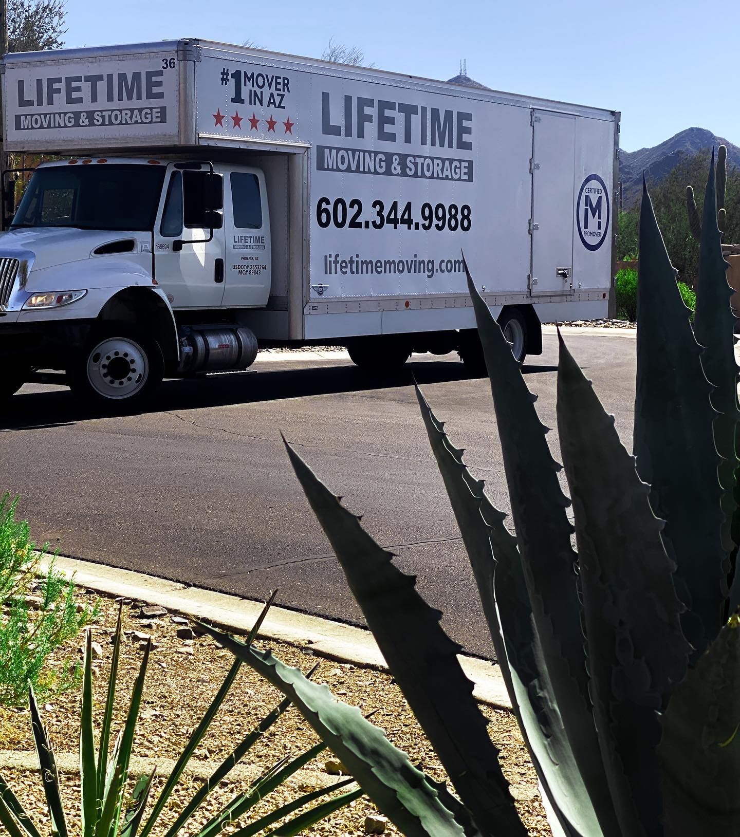Lifetime Moving & Storage Local Moving Company in Phoenix