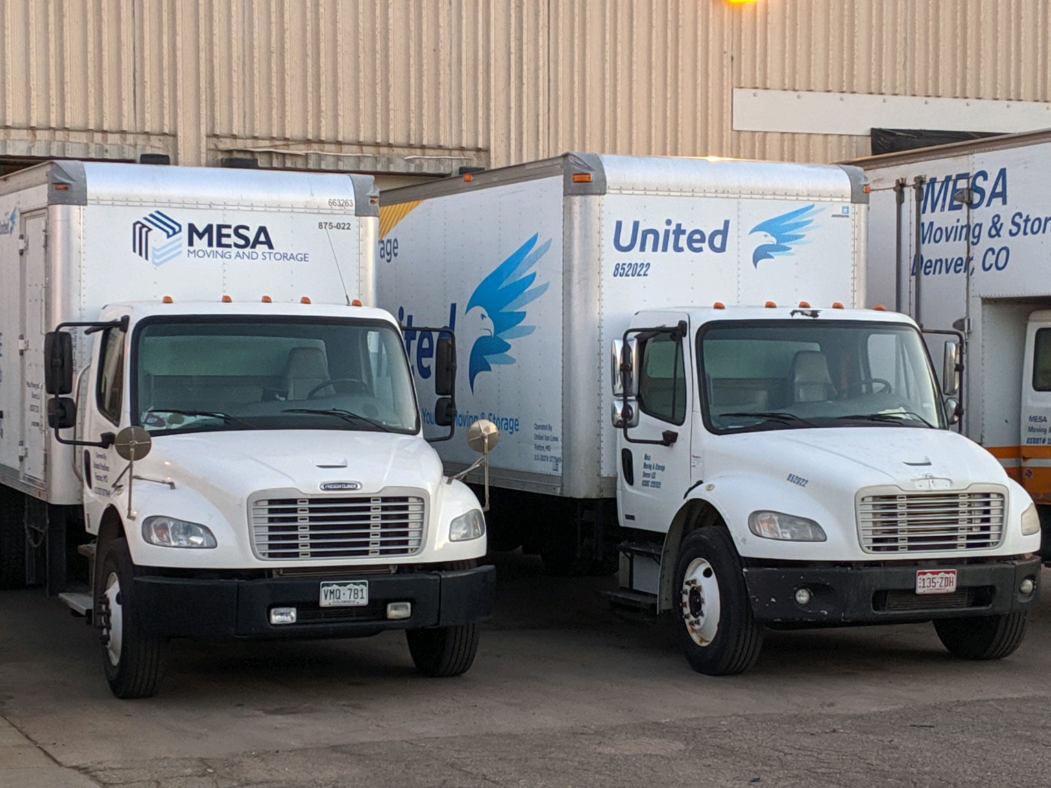 Mesa Moving and Storage