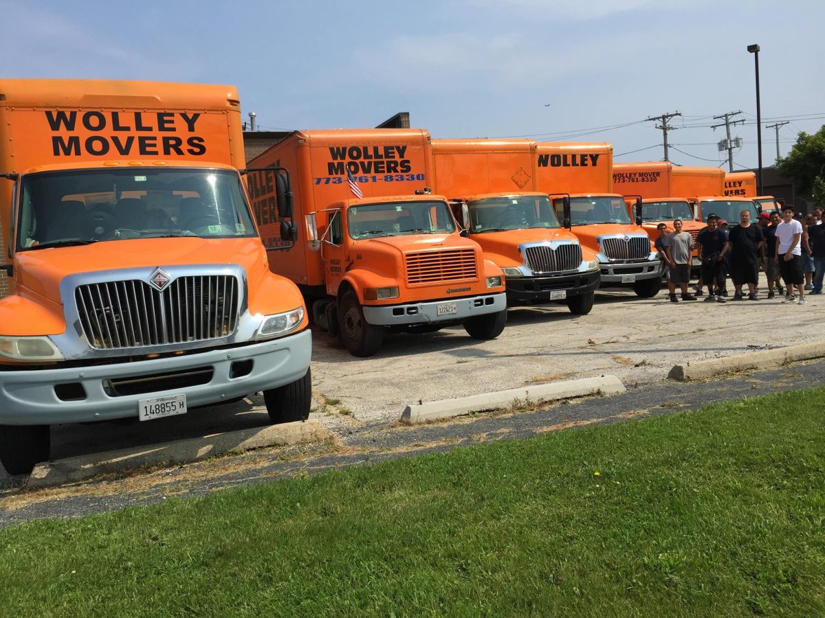 Wolley Movers Chicago