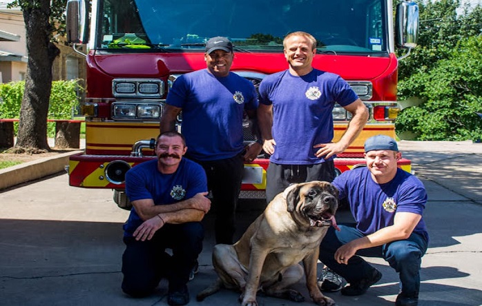 ATX Firefighter Moving LLC Pack and Move in Austin