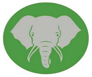 Elephant Trunk Moving Supplies Facebook Plano