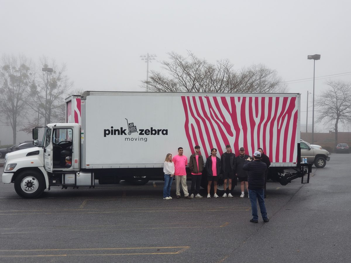 Pink Zebra Moving - Birmingham