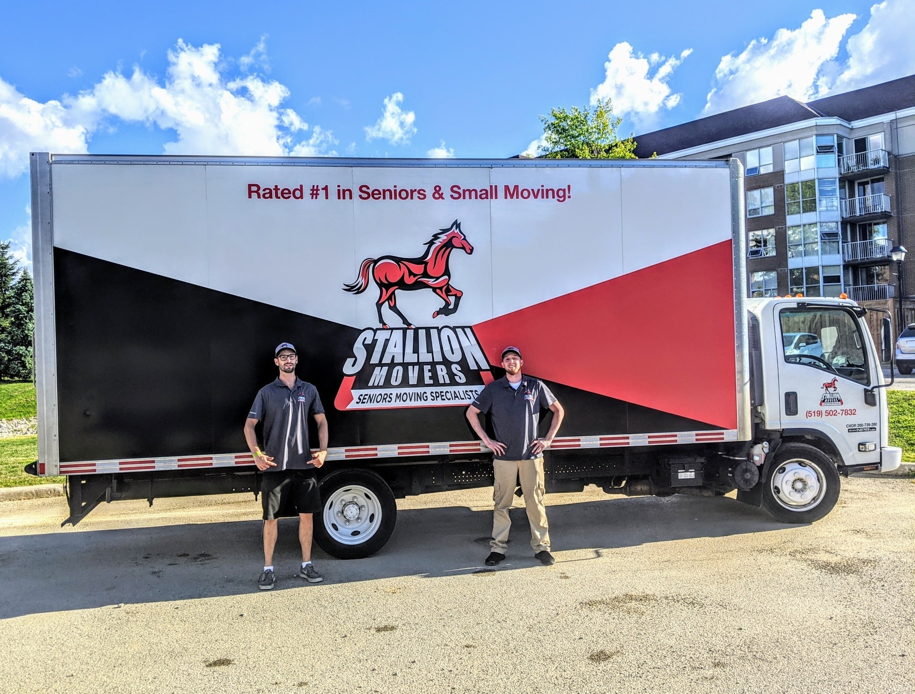 Stallion Movers Moving Company in Kitchener