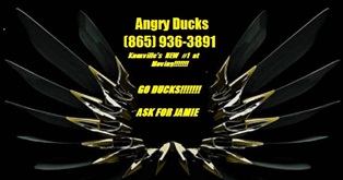 Angry Ducks Moving Local Moving Company in Knoxville