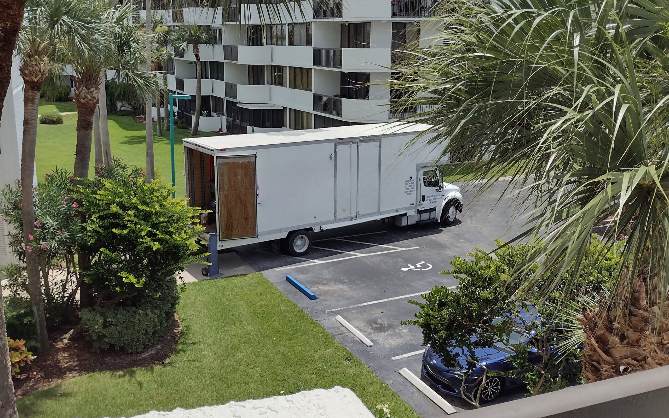 Tampa Moving Guys Best Movers Near Tampa