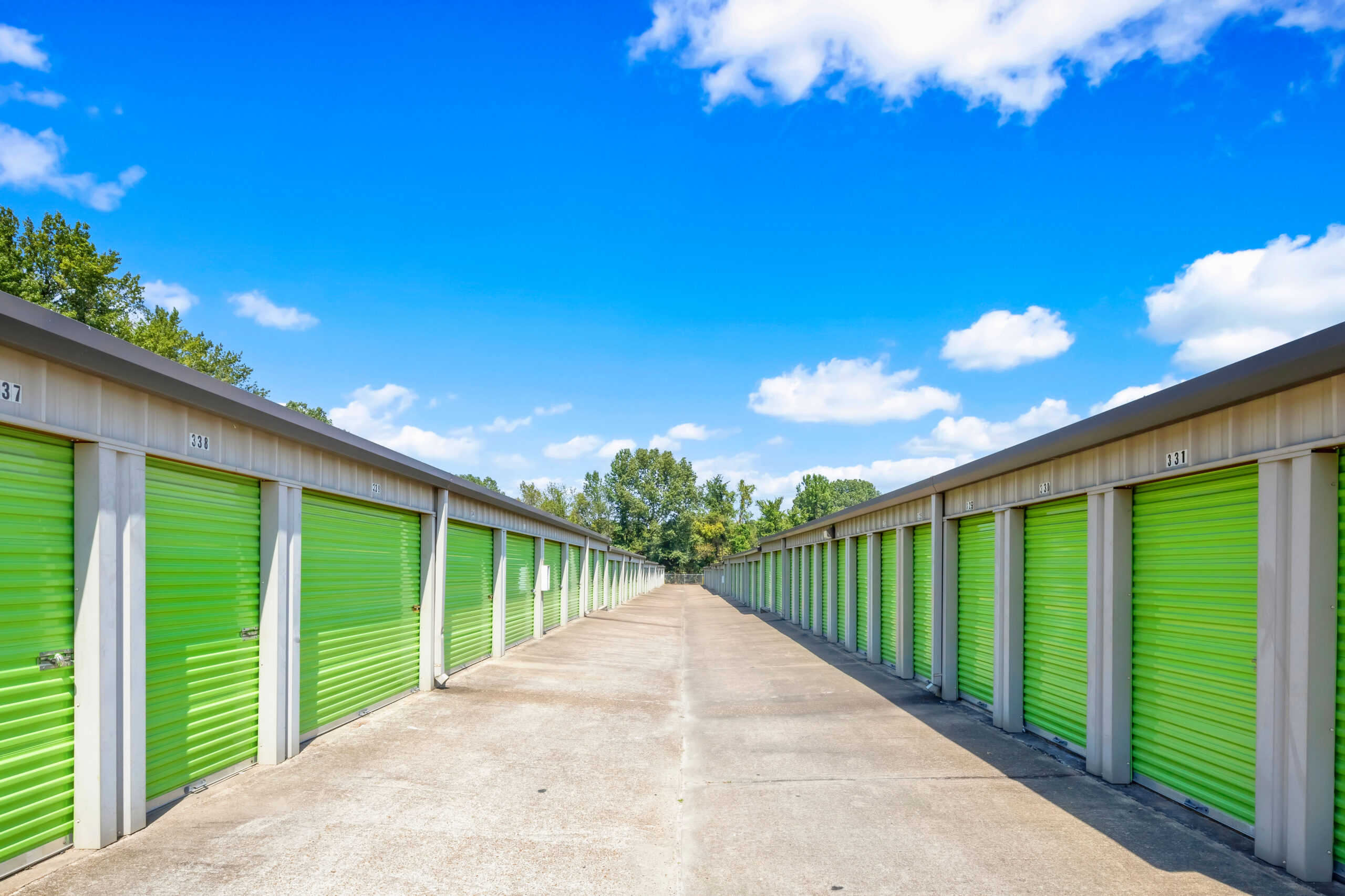 Citizen Storage Mover in Bartlett